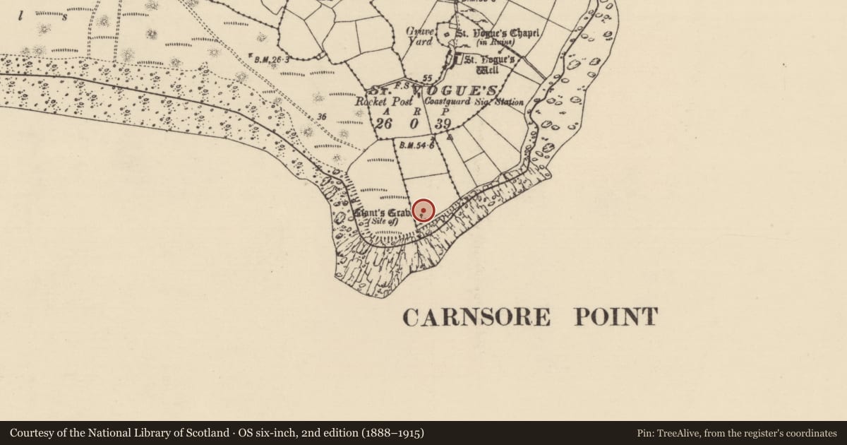 Ordnance Survey six-inch map, 2nd edition (1888–1915) covering the location of Megalithic structure, St. Vogue'S, County Wexford, with a pin at the register's coordinates