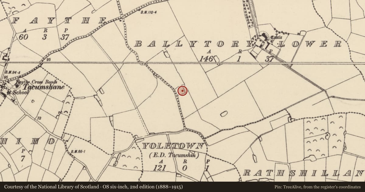 Ordnance Survey six-inch map, 2nd edition (1888–1915) covering the location of Chapel, Ballytory Lower, County Wexford, with a pin at the register's coordinates