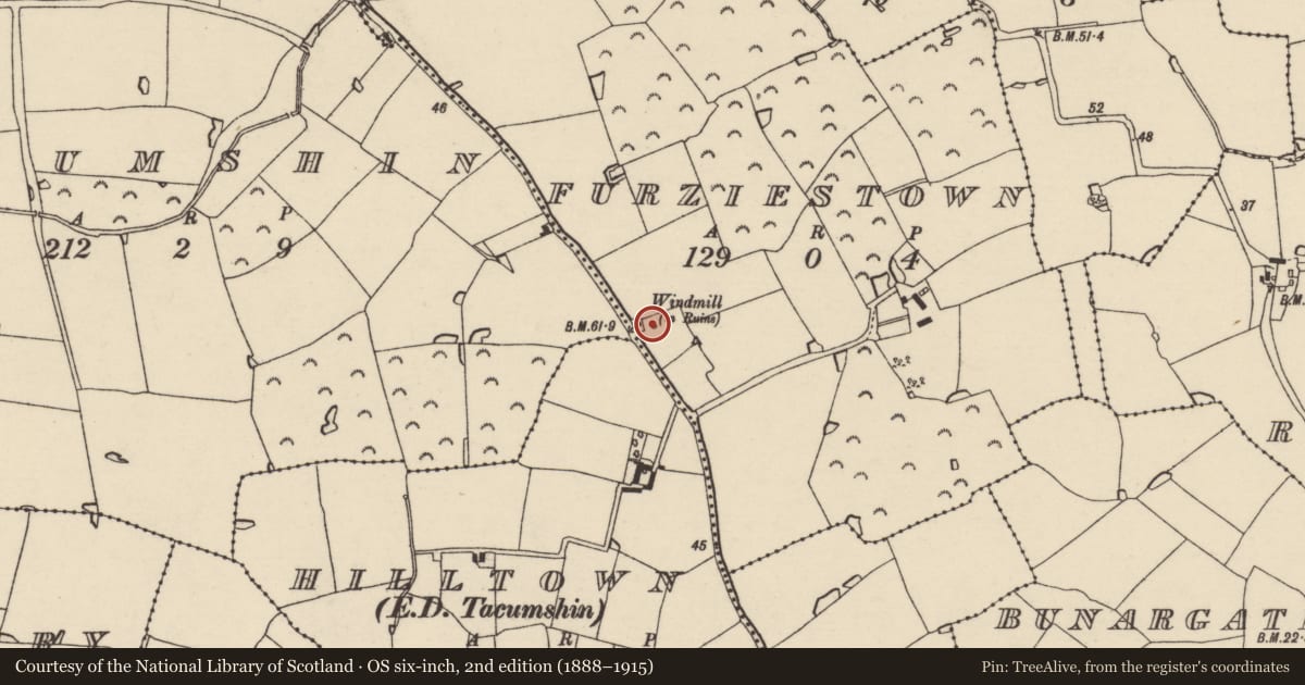 Ordnance Survey six-inch map, 2nd edition (1888–1915) covering the location of Windmill, Furziestown, County Wexford, with a pin at the register's coordinates