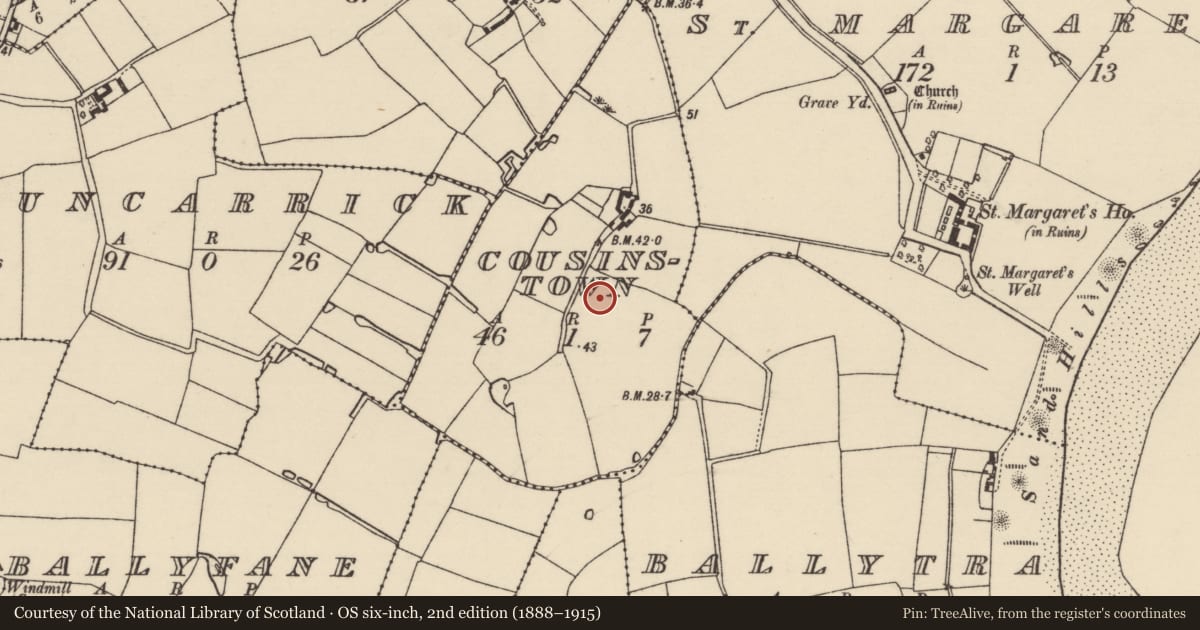 Ordnance Survey six-inch map, 2nd edition (1888–1915) covering the location of Ringfort - rath, Cousinstown, County Wexford, with a pin at the register's coordinates
