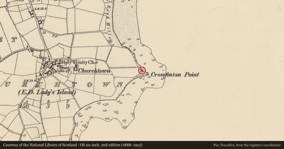 Ordnance Survey six-inch map, 2nd edition (1888–1915) covering the location of Excavation - miscellaneous, Churchtown, County Wexford, with a pin at the register's coordinates