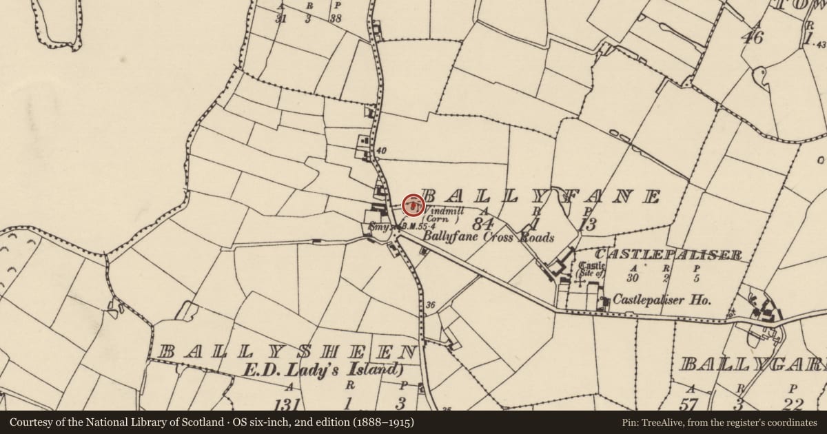 Ordnance Survey six-inch map, 2nd edition (1888–1915) covering the location of Windmill, Ballysheen, County Wexford, with a pin at the register's coordinates