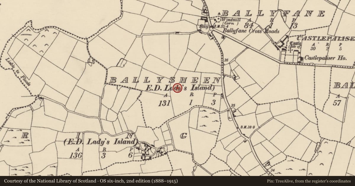 Ordnance Survey six-inch map, 2nd edition (1888–1915) covering the location of Ringfort - rath, Ballysheen, County Wexford, with a pin at the register's coordinates