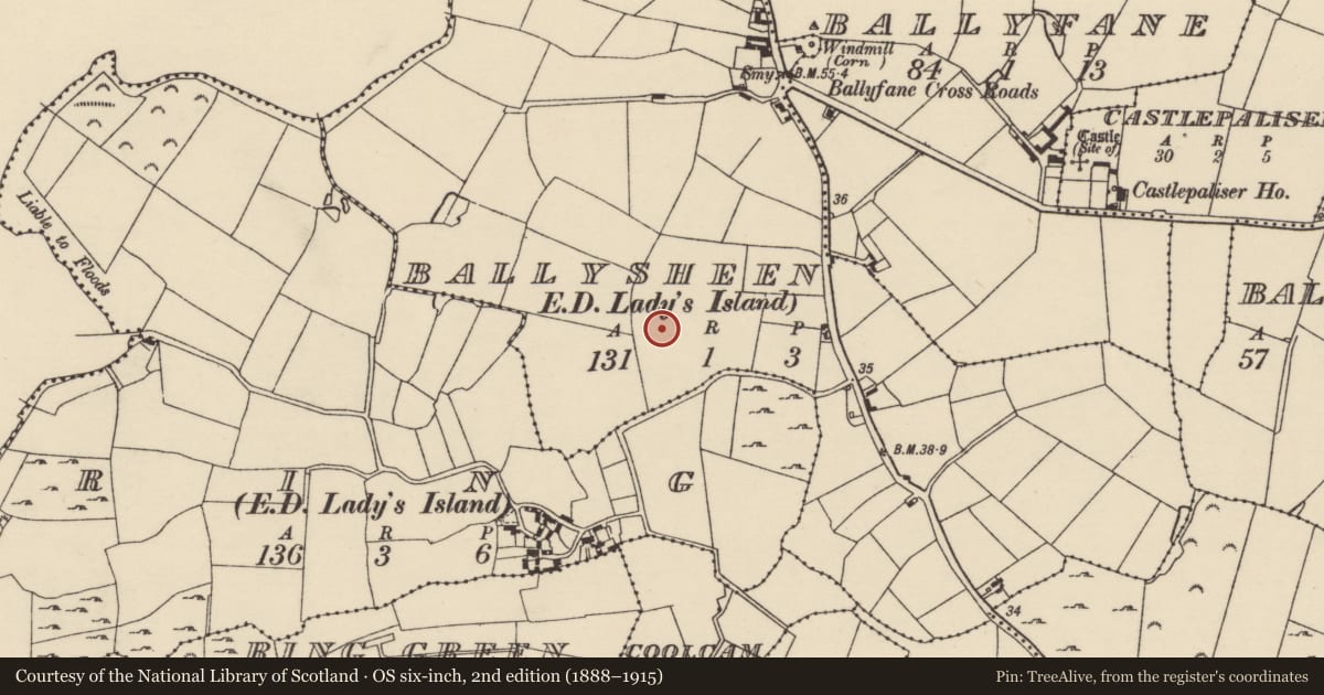 Ordnance Survey six-inch map, 2nd edition (1888–1915) covering the location of Ringfort - rath, Ballysheen, County Wexford, with a pin at the register's coordinates
