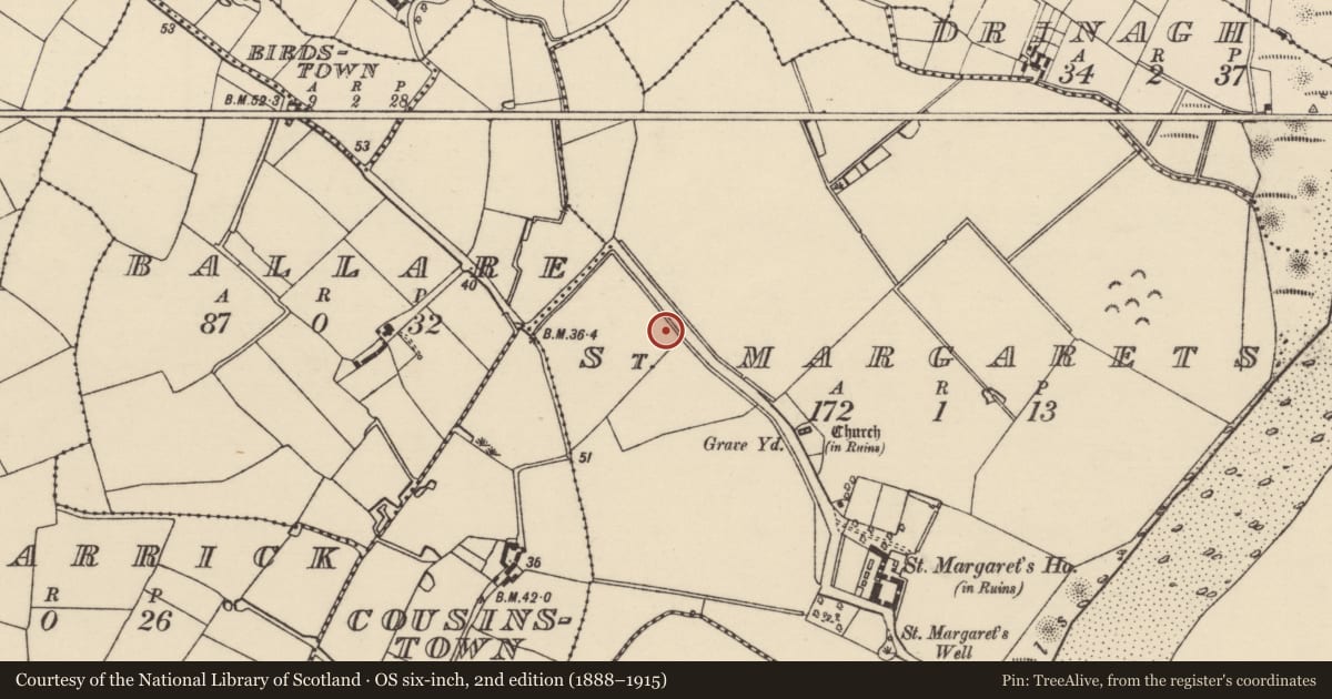 Ordnance Survey six-inch map, 2nd edition (1888–1915) covering the location of Standing stone, St. Margarets, County Wexford, with a pin at the register's coordinates