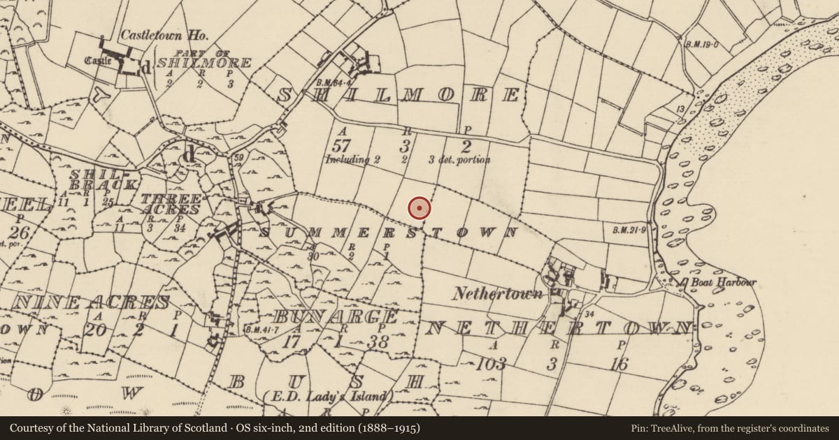 Ordnance Survey six-inch map, 2nd edition (1888–1915) covering the location of Enclosure, Shilmore, County Wexford, with a pin at the register's coordinates