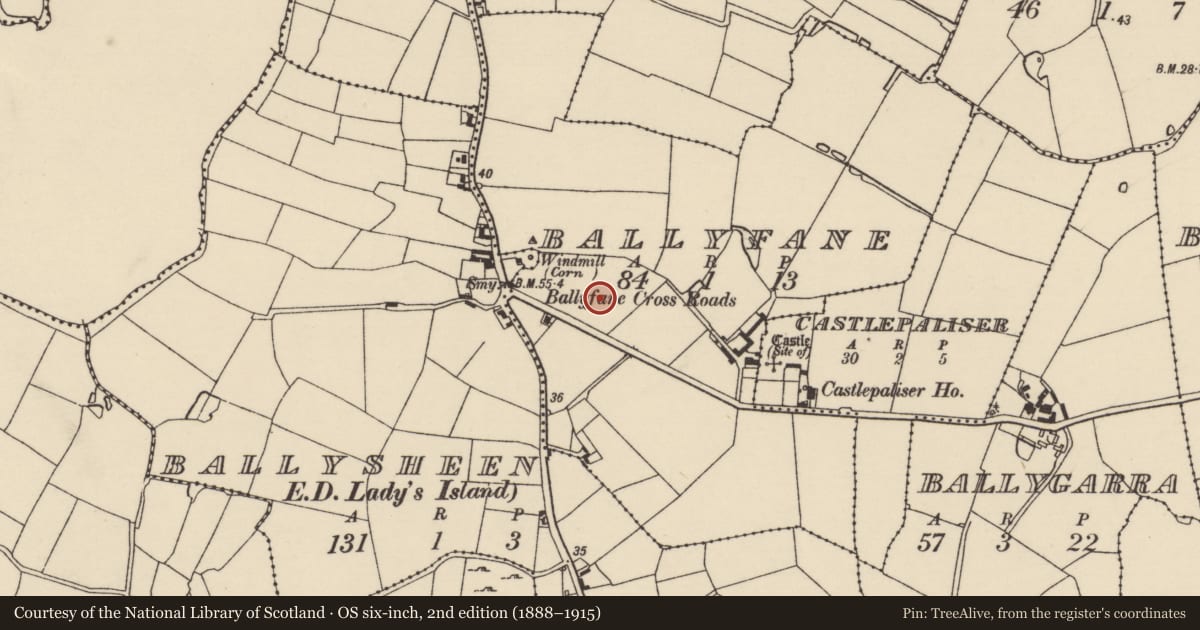 Ordnance Survey six-inch map, 2nd edition (1888–1915) covering the location of Ringfort - rath, Ballyfane, County Wexford, with a pin at the register's coordinates