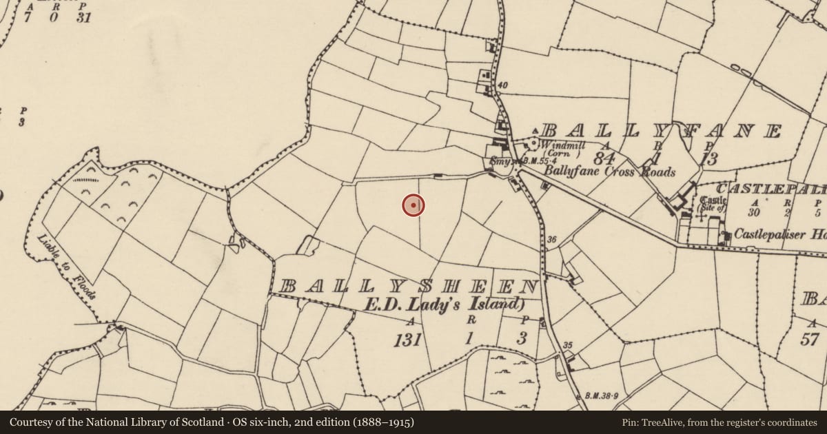 Ordnance Survey six-inch map, 2nd edition (1888–1915) covering the location of Ringfort - rath, Ballysheen, County Wexford, with a pin at the register's coordinates