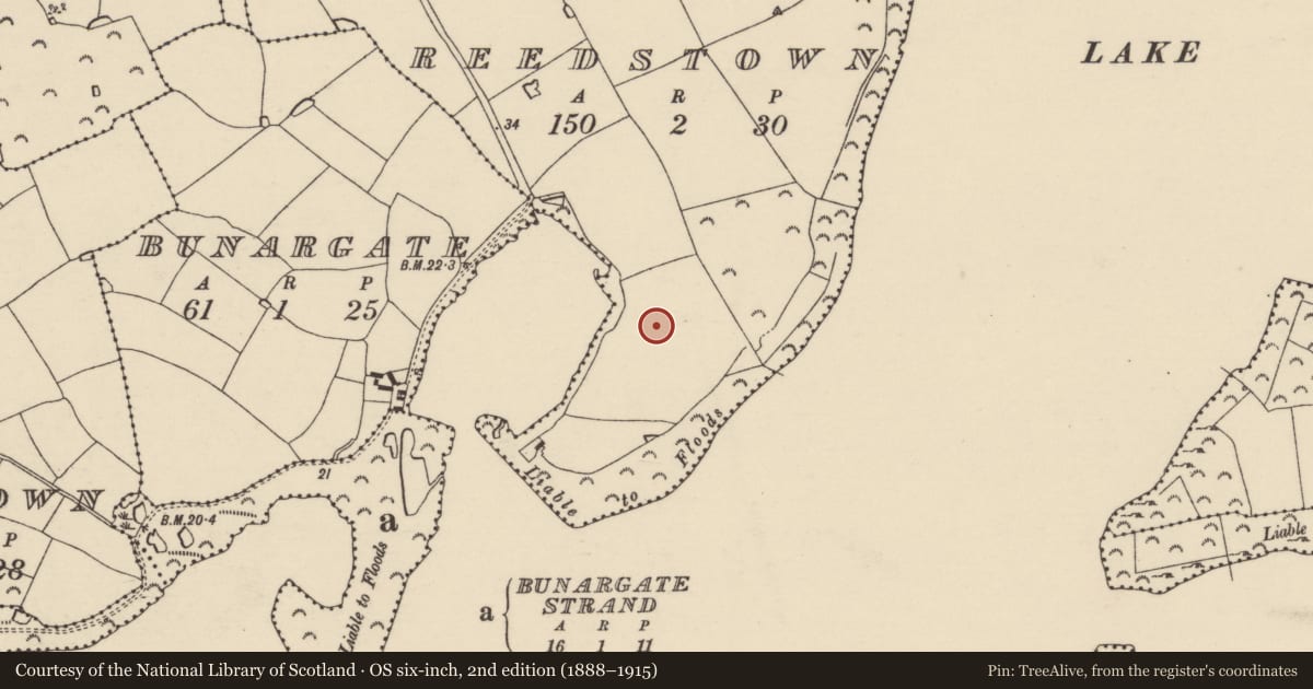Ordnance Survey six-inch map, 2nd edition (1888–1915) covering the location of Field system, Reedstown, County Wexford, with a pin at the register's coordinates