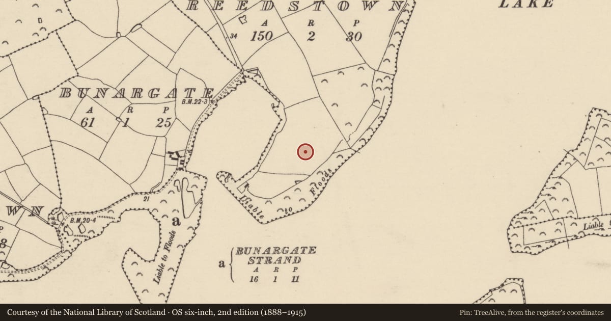 Ordnance Survey six-inch map, 2nd edition (1888–1915) covering the location of Ringfort - rath, Reedstown, County Wexford, with a pin at the register's coordinates