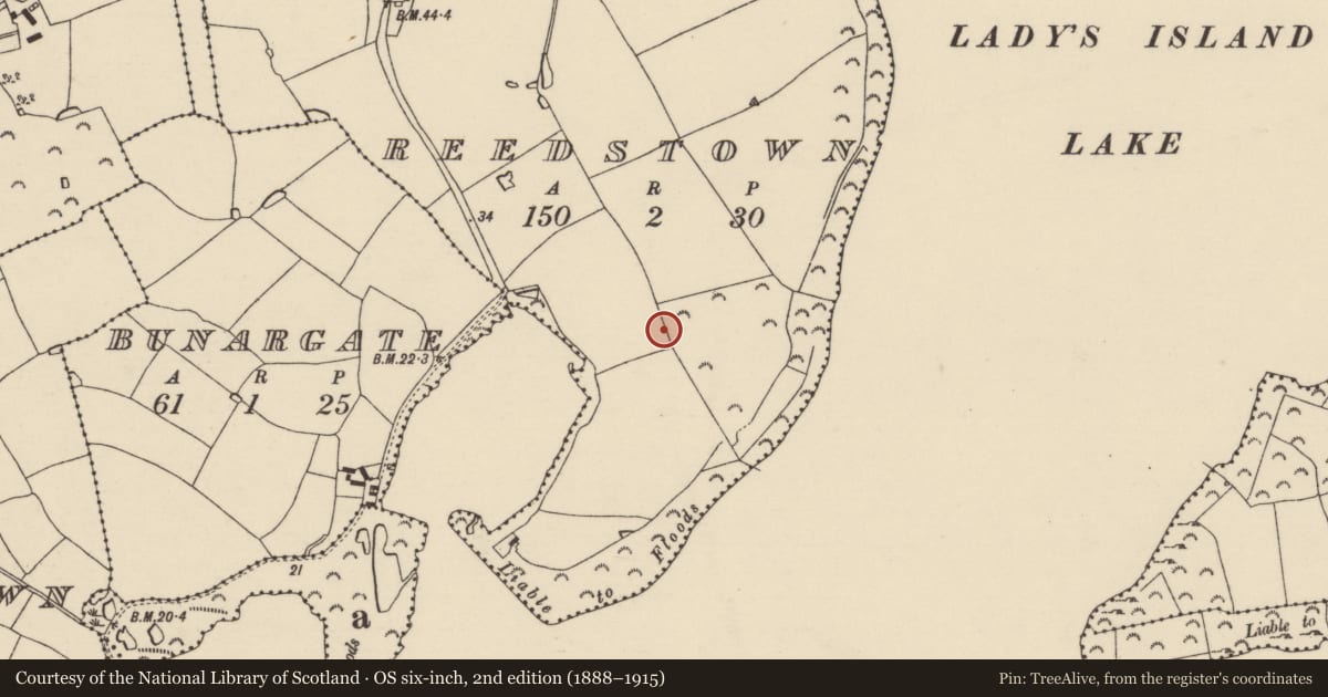 Ordnance Survey six-inch map, 2nd edition (1888–1915) covering the location of Ringfort - rath, Reedstown, County Wexford, with a pin at the register's coordinates