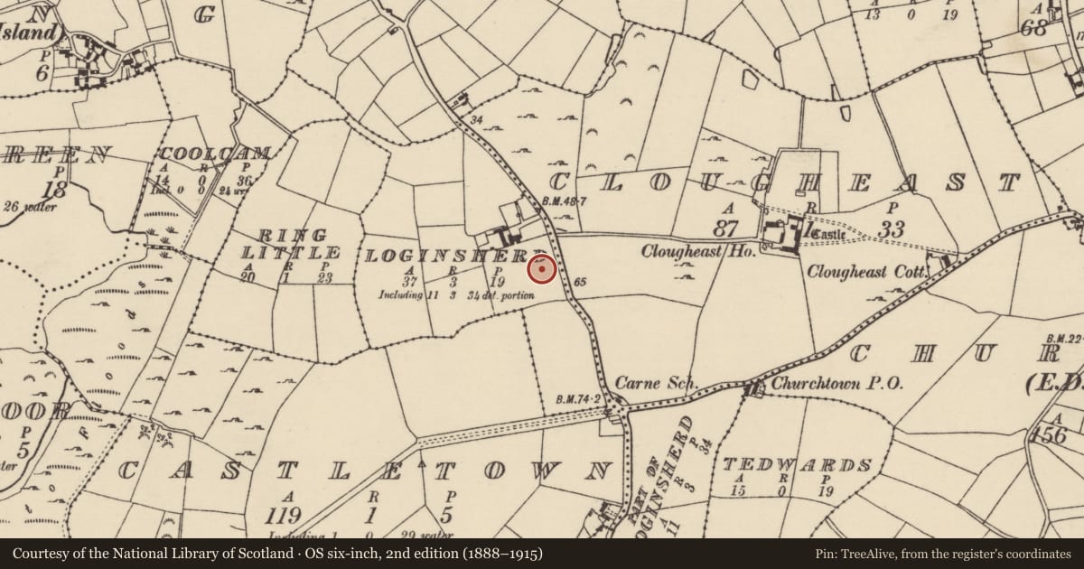 Ordnance Survey six-inch map, 2nd edition (1888–1915) covering the location of Ringfort - rath, Loginsherd, County Wexford, with a pin at the register's coordinates