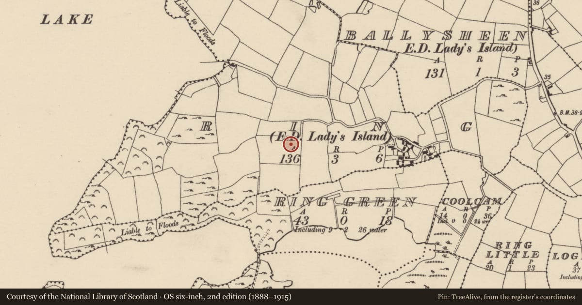 Ordnance Survey six-inch map, 2nd edition (1888–1915) covering the location of Ring-ditch, County Wexford, with a pin at the register's coordinates