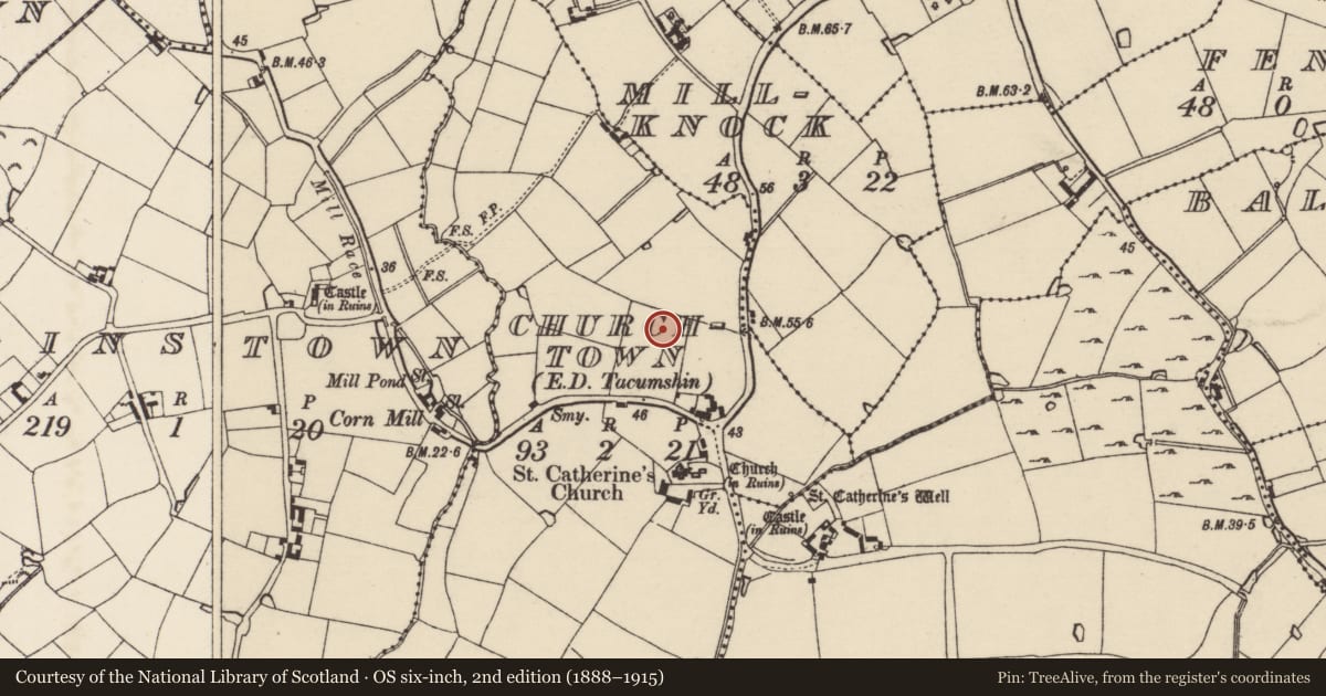 Ordnance Survey six-inch map, 2nd edition (1888–1915) covering the location of Ringfort - rath, Churchtown, County Wexford, with a pin at the register's coordinates