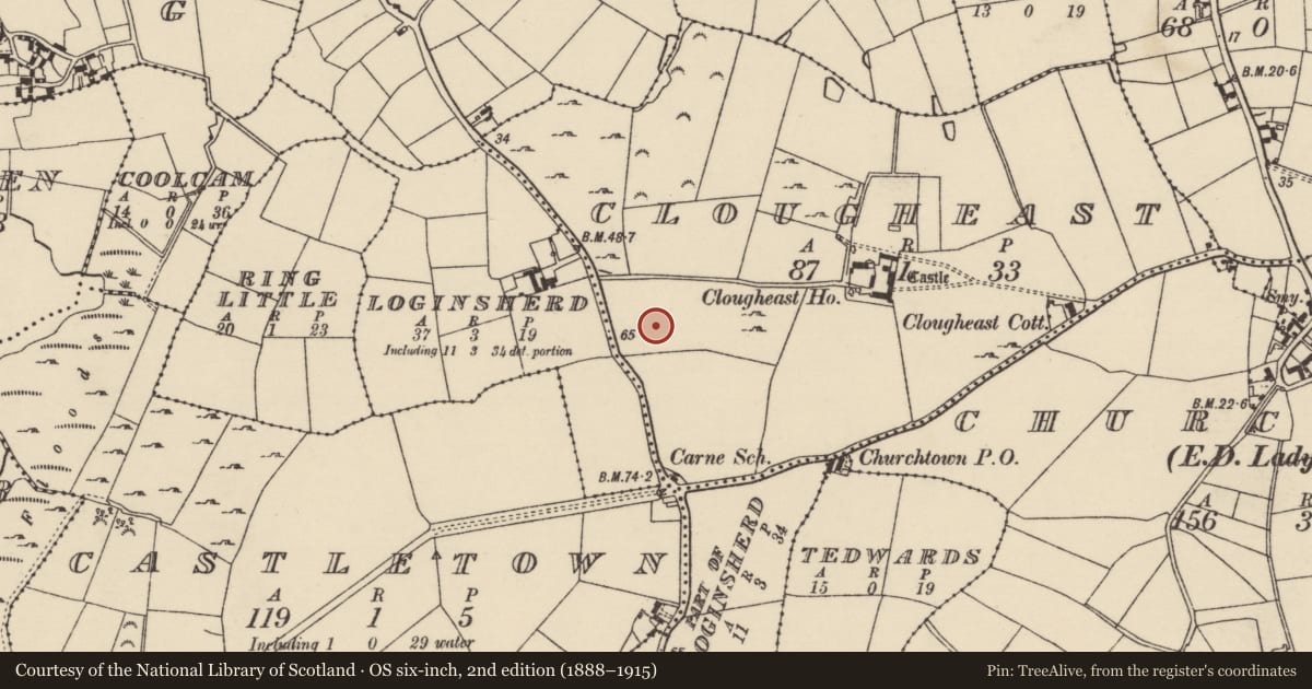 Ordnance Survey six-inch map, 2nd edition (1888–1915) covering the location of Ringfort - rath, Clougheast, County Wexford, with a pin at the register's coordinates