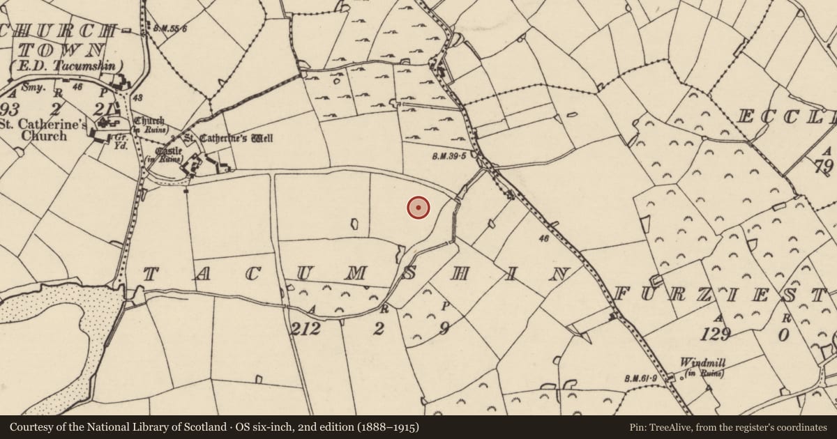 Ordnance Survey six-inch map, 2nd edition (1888–1915) covering the location of Ringfort - rath, Tacumshin, County Wexford, with a pin at the register's coordinates