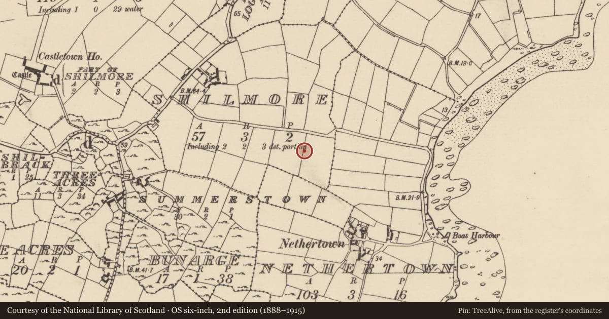 Ordnance Survey six-inch map, 2nd edition (1888–1915) covering the location of Ring-ditch, Shilmore, County Wexford, with a pin at the register's coordinates