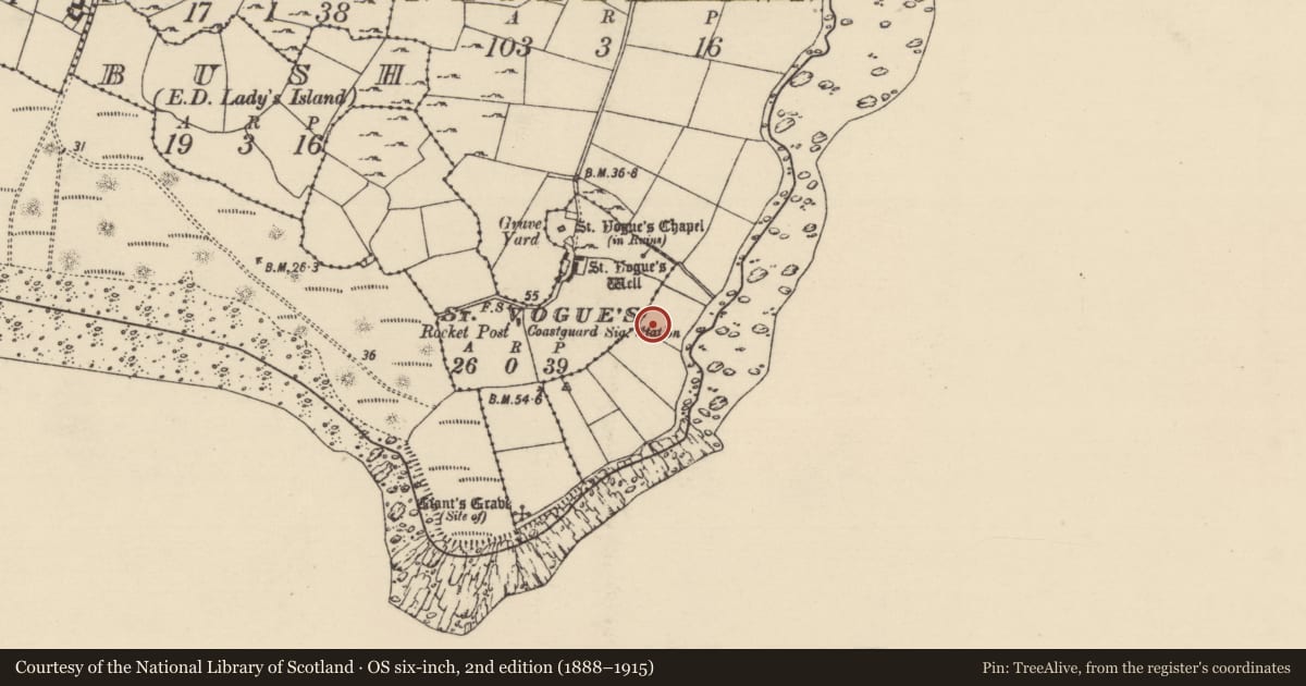 Ordnance Survey six-inch map, 2nd edition (1888–1915) covering the location of Excavation - miscellaneous, Nethertown, County Wexford, with a pin at the register's coordinates