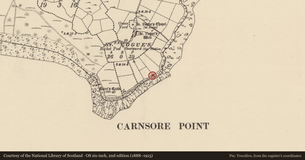 Ordnance Survey six-inch map, 2nd edition (1888–1915) covering the location of Ritual site - holy/saint's stone, St. Vogue'S, County Wexford, with a pin at the register's coordinates