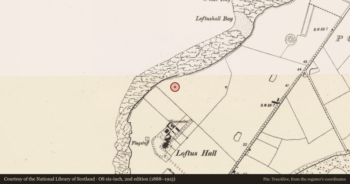 Ordnance Survey six-inch map, 2nd edition (1888–1915) covering the location of Ringfort - rath, Loftushall, County Wexford, with a pin at the register's coordinates
