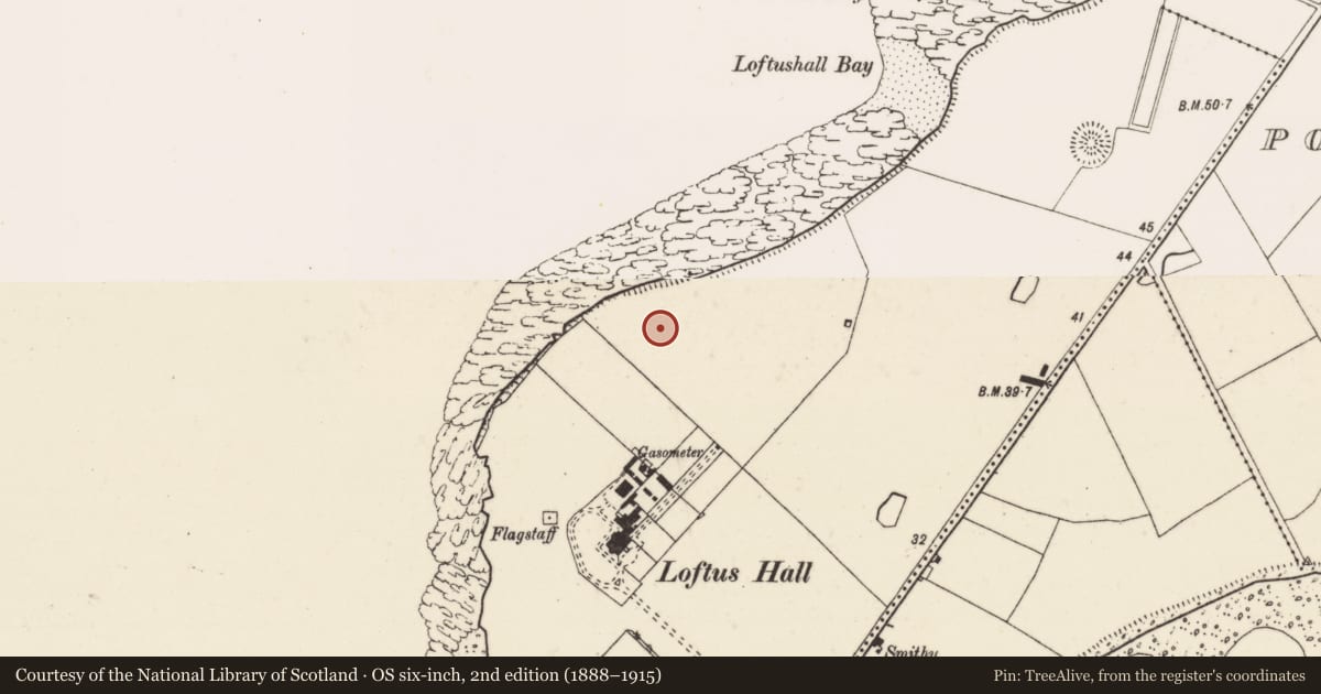 Ordnance Survey six-inch map, 2nd edition (1888–1915) covering the location of Cairn - unclassified, Loftushall, County Wexford, with a pin at the register's coordinates