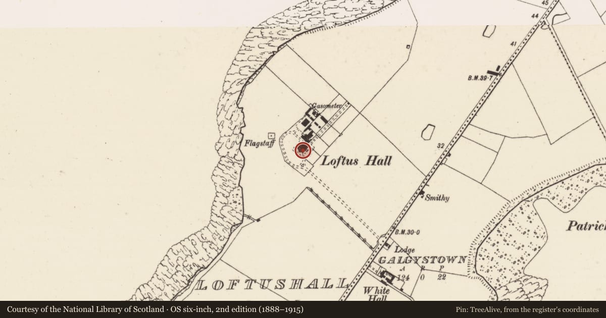 Ordnance Survey six-inch map, 2nd edition (1888–1915) covering the location of Castle - unclassified, Loftushall, County Wexford, with a pin at the register's coordinates