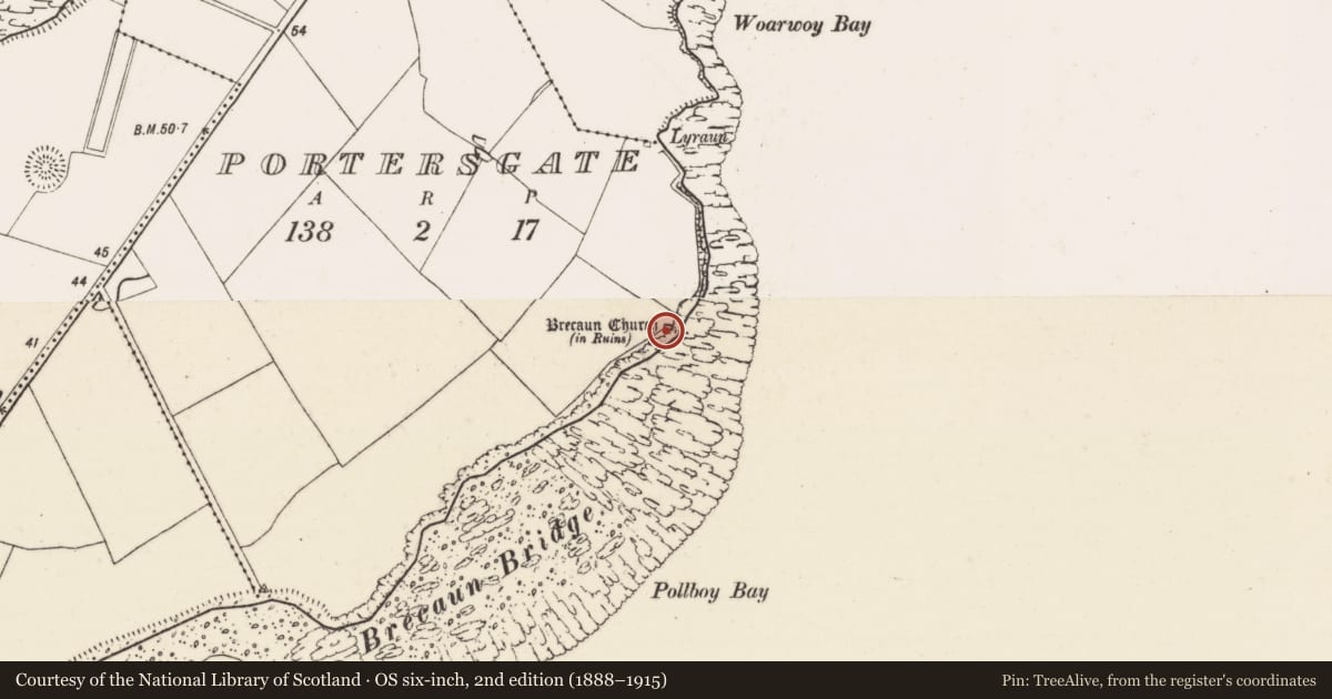 Ordnance Survey six-inch map, 2nd edition (1888–1915) covering the location of Ogham stone, Portersgate, County Wexford, with a pin at the register's coordinates