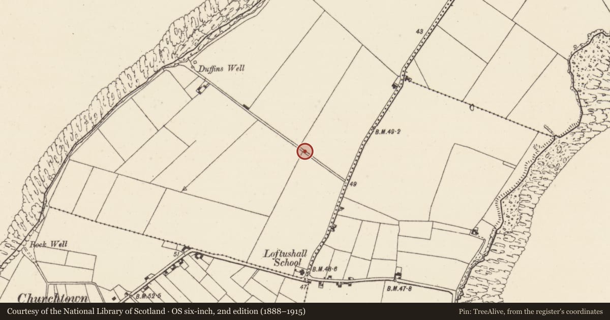 Ordnance Survey six-inch map, 2nd edition (1888–1915) covering the location of Ringfort - unclassified, Loftushall, County Wexford, with a pin at the register's coordinates