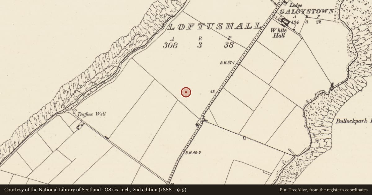 Ordnance Survey six-inch map, 2nd edition (1888–1915) covering the location of Ringfort - rath, Loftushall, County Wexford, with a pin at the register's coordinates