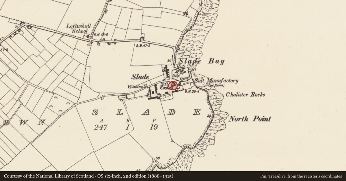 Ordnance Survey six-inch map, 2nd edition (1888–1915) covering the location of Castle - tower house, Slade, County Wexford, with a pin at the register's coordinates