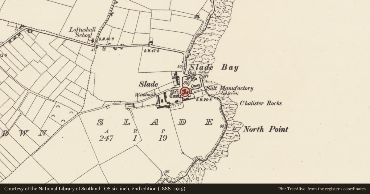 Ordnance Survey six-inch map, 2nd edition (1888–1915) covering the location of House - fortified house, Slade, County Wexford, with a pin at the register's coordinates