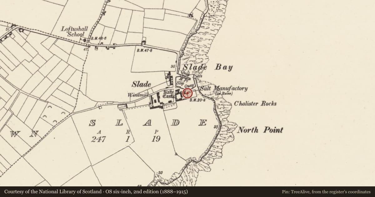 Ordnance Survey six-inch map, 2nd edition (1888–1915) covering the location of Salt works, Slade, County Wexford, with a pin at the register's coordinates