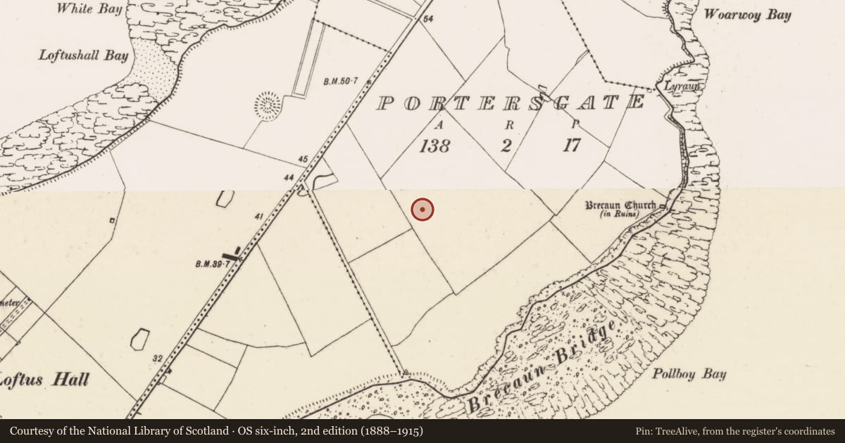 Ordnance Survey six-inch map, 2nd edition (1888–1915) covering the location of Ringfort - rath, Portersgate, County Wexford, with a pin at the register's coordinates