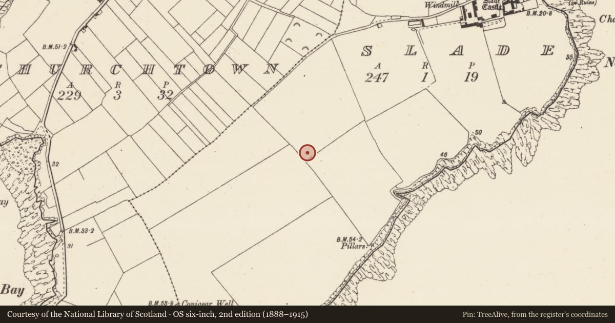 Ordnance Survey six-inch map, 2nd edition (1888–1915) covering the location of Ringfort - rath, Slade, County Wexford, with a pin at the register's coordinates