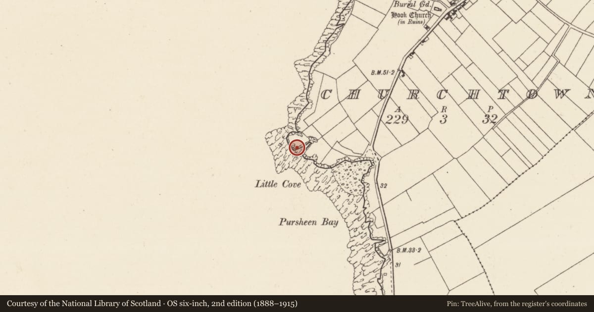 Ordnance Survey six-inch map, 2nd edition (1888–1915) covering the location of Burial, Churchtown, County Wexford, with a pin at the register's coordinates
