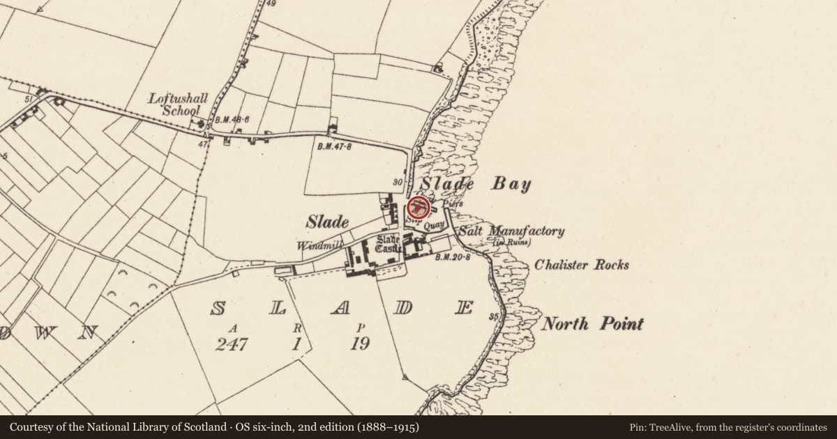 Ordnance Survey six-inch map, 2nd edition (1888–1915) covering the location of Quay, Slade, County Wexford, with a pin at the register's coordinates