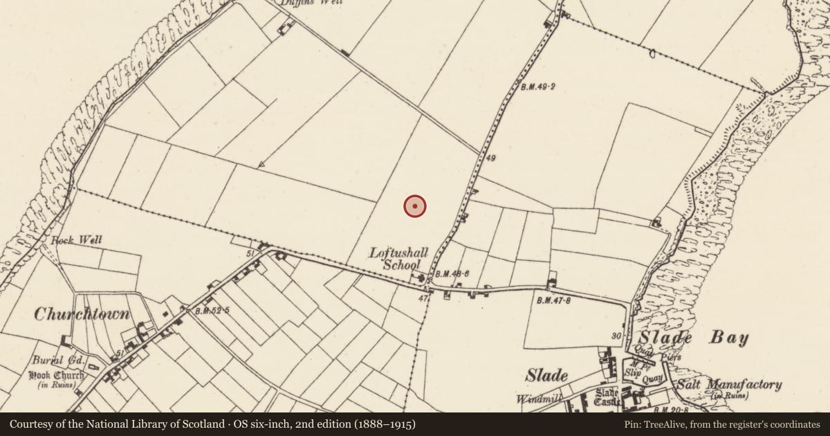 Ordnance Survey six-inch map, 2nd edition (1888–1915) covering the location of Enclosure, Loftushall, County Wexford, with a pin at the register's coordinates