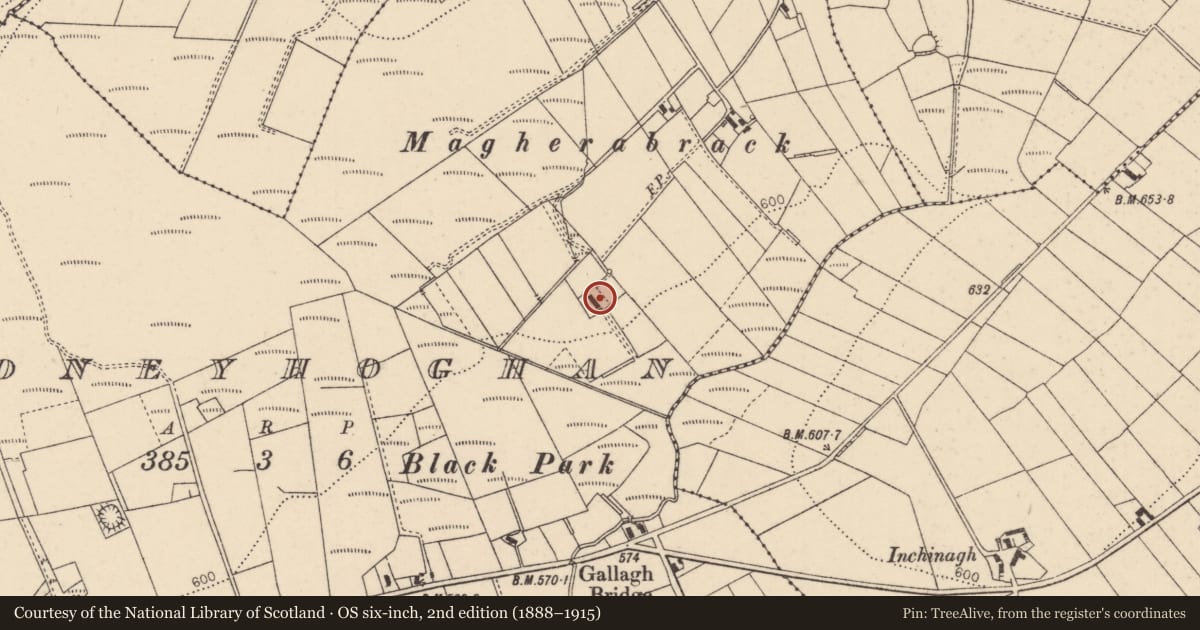 Ordnance Survey six-inch map, 2nd edition (1888–1915) covering the location of House off Magherabrack Road, Moneyhogan, Derry City and Strabane, with a pin at the register's coordinates