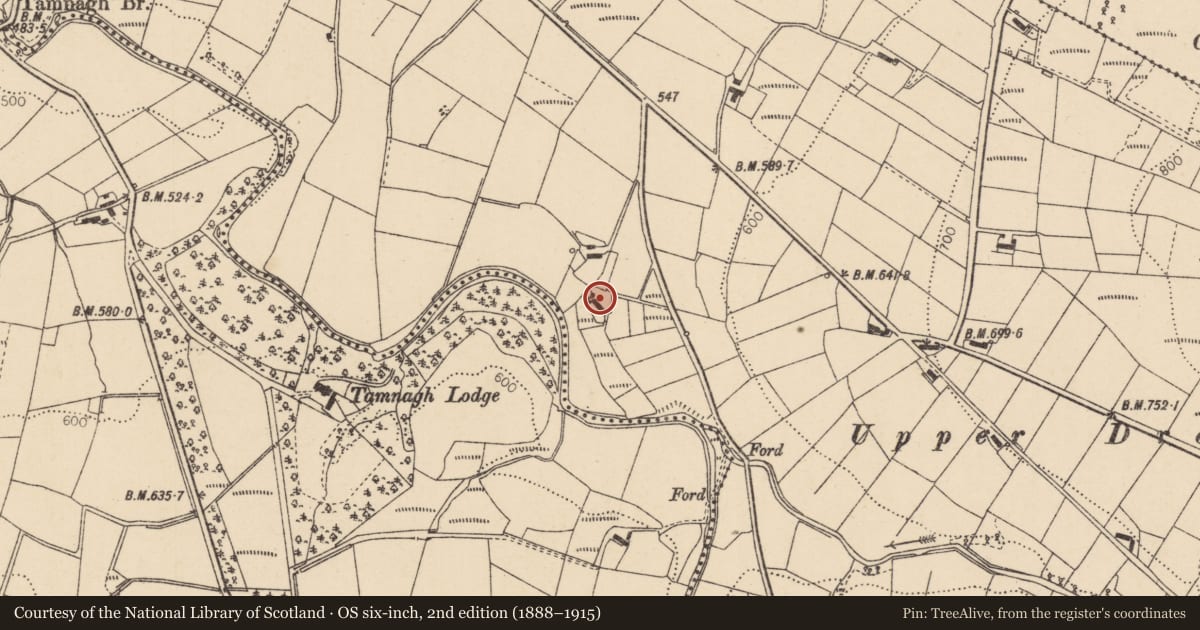 Ordnance Survey six-inch map, 2nd edition (1888–1915) covering the location of Crockahilly Road, Dreen, Derry City and Strabane, with a pin at the register's coordinates