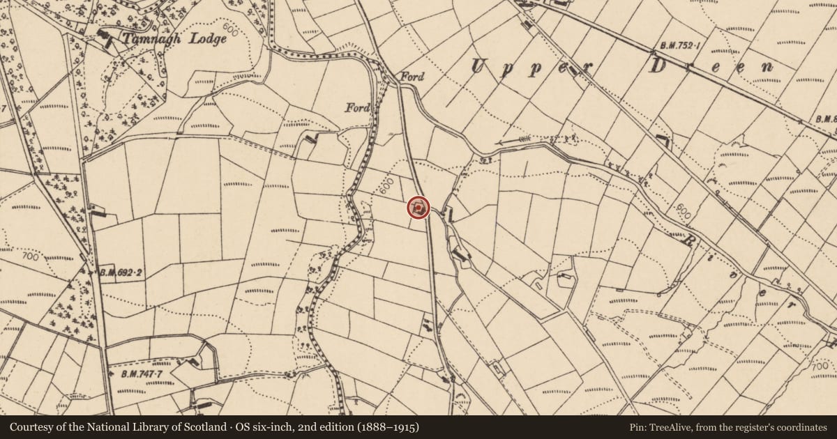 Ordnance Survey six-inch map, 2nd edition (1888–1915) covering the location of Crockahilly Road, Dreen, Derry City and Strabane, with a pin at the register's coordinates