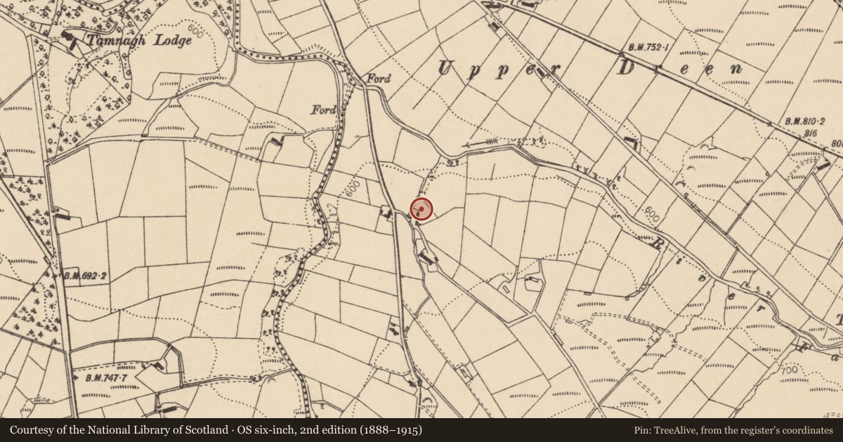 Ordnance Survey six-inch map, 2nd edition (1888–1915) covering the location of Crockahilly Road, Dreen, Derry City and Strabane, with a pin at the register's coordinates