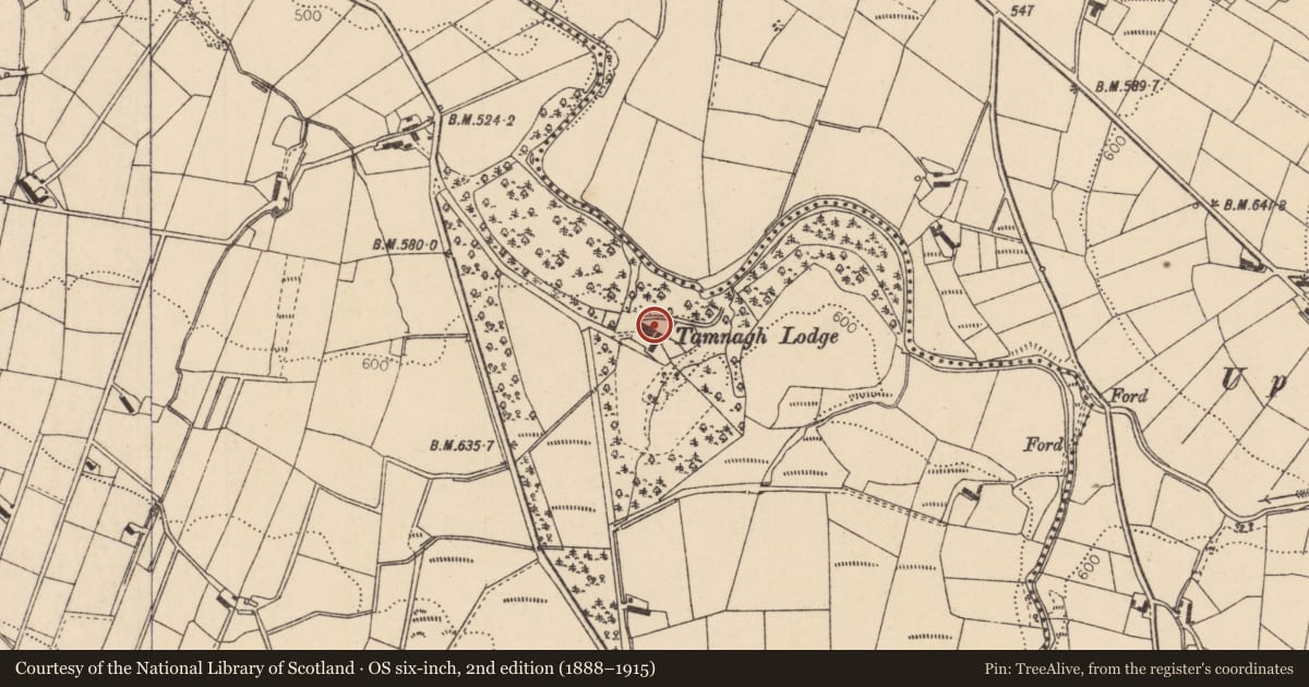Ordnance Survey six-inch map, 2nd edition (1888–1915) covering the location of Tamnagh Lodge, Derry City and Strabane, with a pin at the register's coordinates