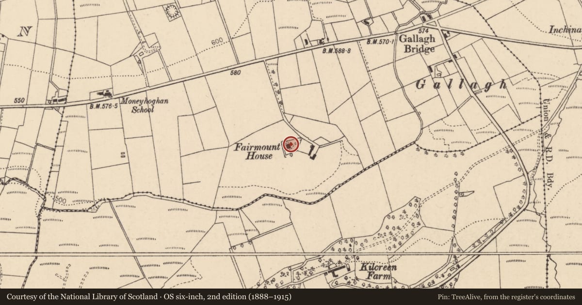 Ordnance Survey six-inch map, 2nd edition (1888–1915) covering the location of Fairmount House, Moneyhoghan, Derry City and Strabane, with a pin at the register's coordinates