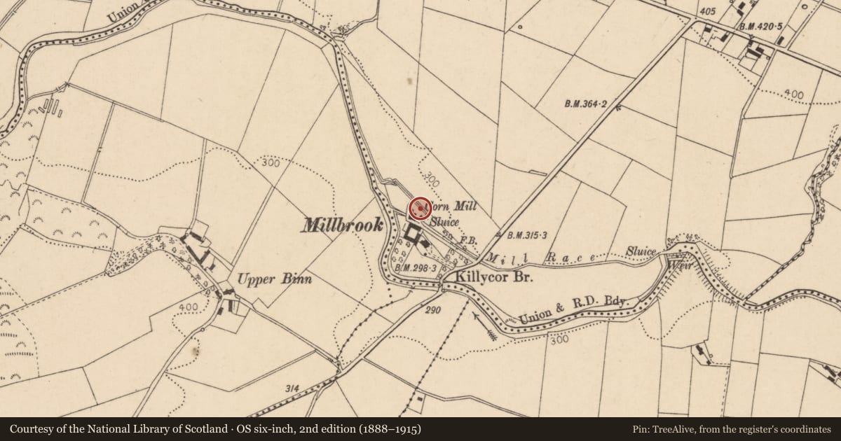 Ordnance Survey six-inch map, 2nd edition (1888–1915) covering the location of Millbrook Mill, Killycor, Derry City and Strabane, with a pin at the register's coordinates
