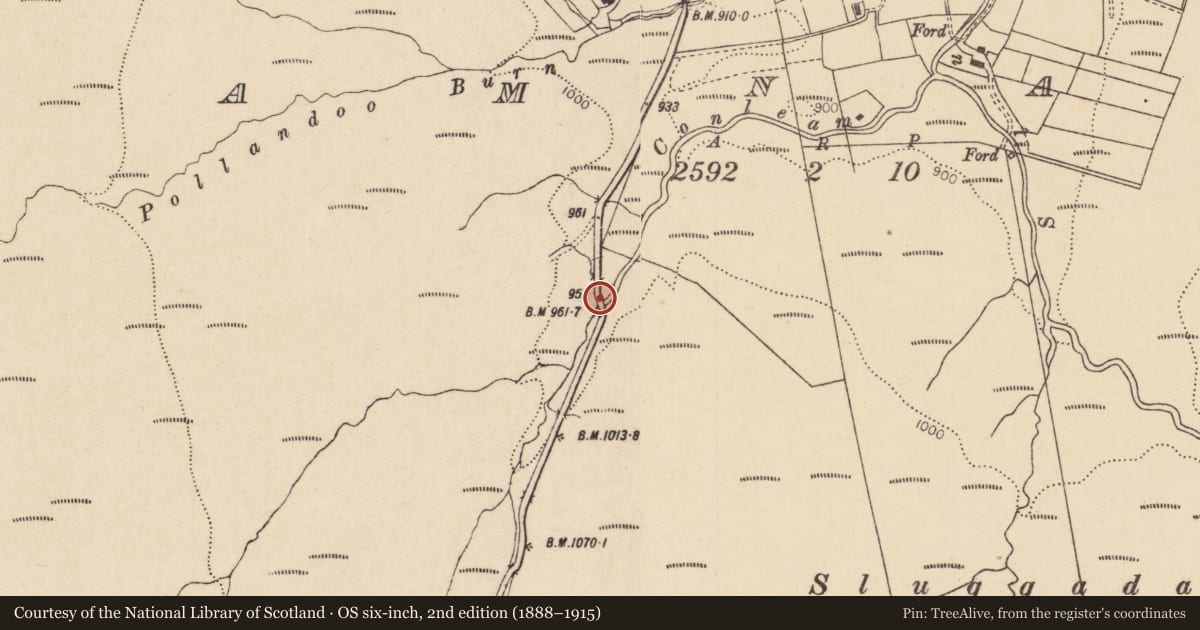 Ordnance Survey six-inch map, 2nd edition (1888–1915) covering the location of Upper Bridge, Tamnagh, Derry City and Strabane, with a pin at the register's coordinates