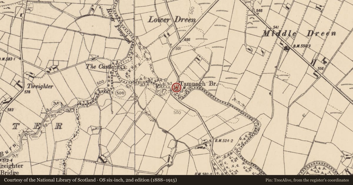 Ordnance Survey six-inch map, 2nd edition (1888–1915) covering the location of Tamnagh Bridge, Derry City and Strabane, with a pin at the register's coordinates
