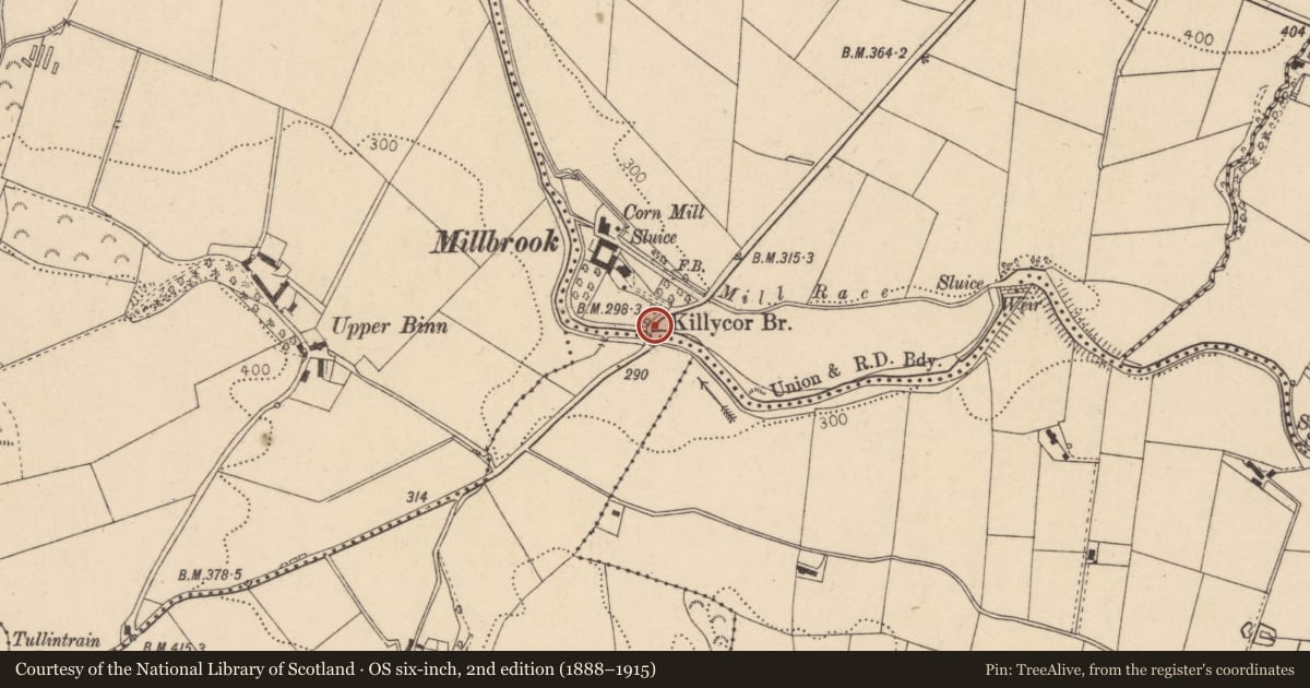 Ordnance Survey six-inch map, 2nd edition (1888–1915) covering the location of Killycor Bridge, Derry City and Strabane, with a pin at the register's coordinates