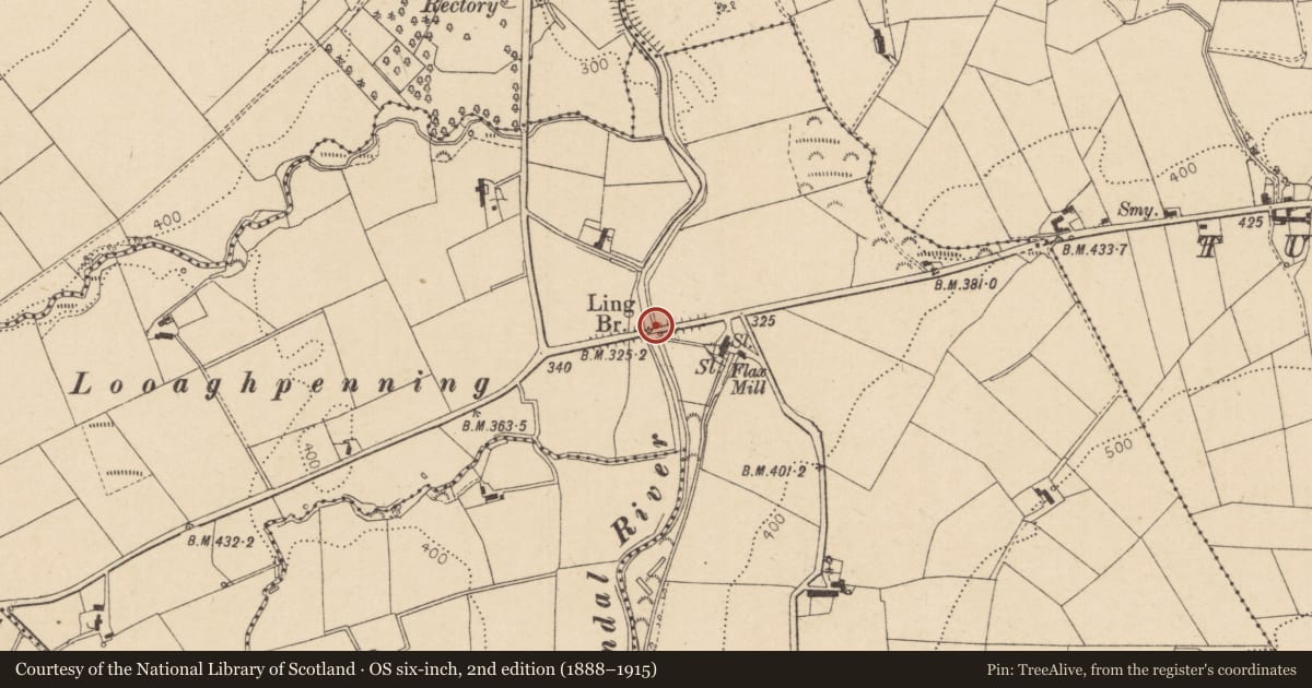 Ordnance Survey six-inch map, 2nd edition (1888–1915) covering the location of Ling Bridge, Killycor, Derry City and Strabane, with a pin at the register's coordinates