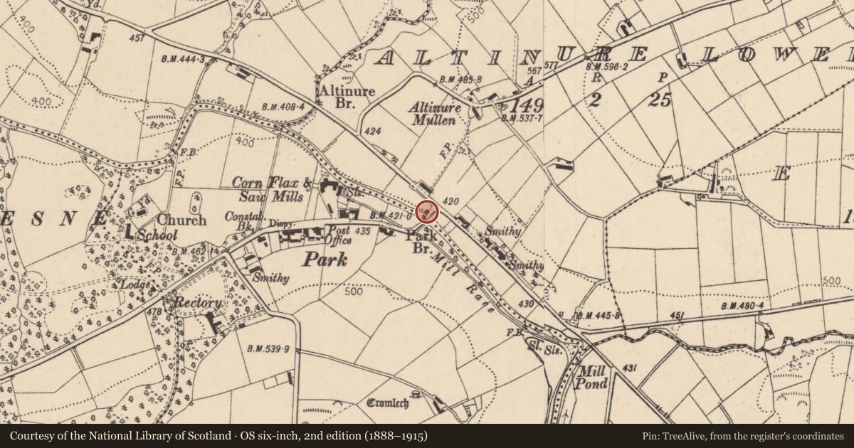 Ordnance Survey six-inch map, 2nd edition (1888–1915) covering the location of Park Bridge, Altinure Lower, Derry City and Strabane, with a pin at the register's coordinates