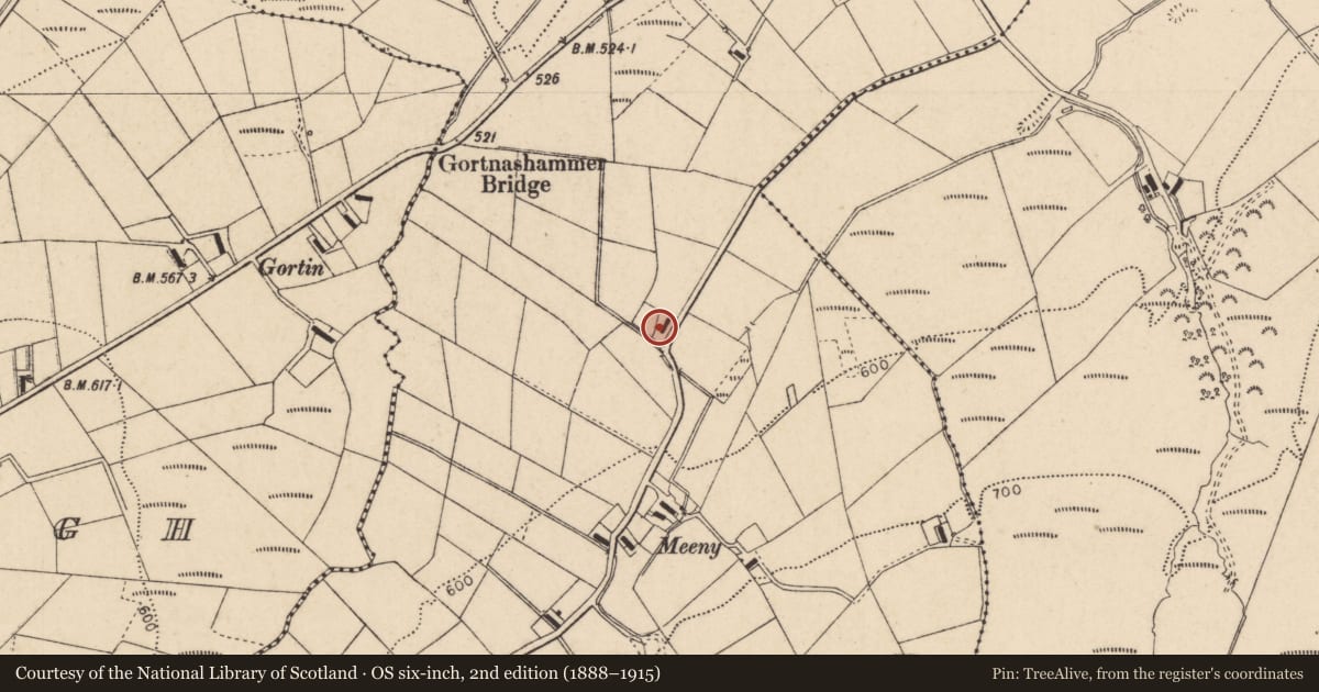 Ordnance Survey six-inch map, 2nd edition (1888–1915) covering the location of 1½ Storey House, Kilgort, Derry City and Strabane, with a pin at the register's coordinates